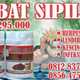 Illustration for article titled Obat Penyakit Sipilis Yang Ada Di Apotik